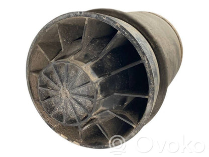 Aizmugurē gaisa spilvens