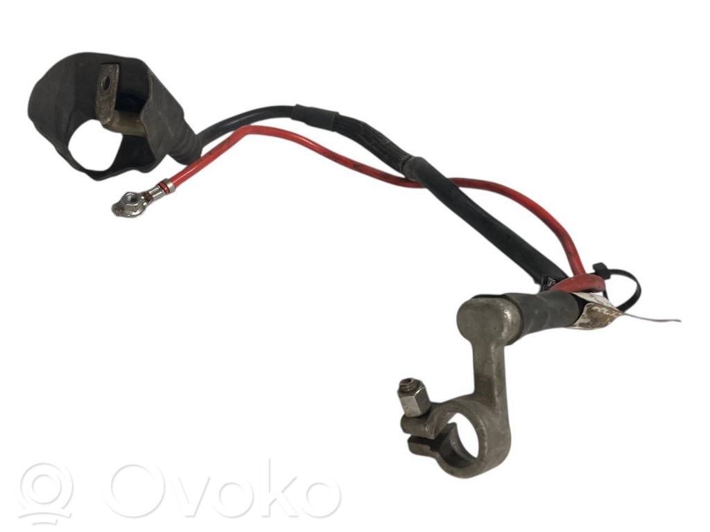 Plusa vads (akumulatora)