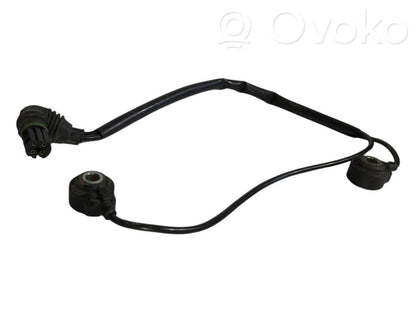 Knock sensor