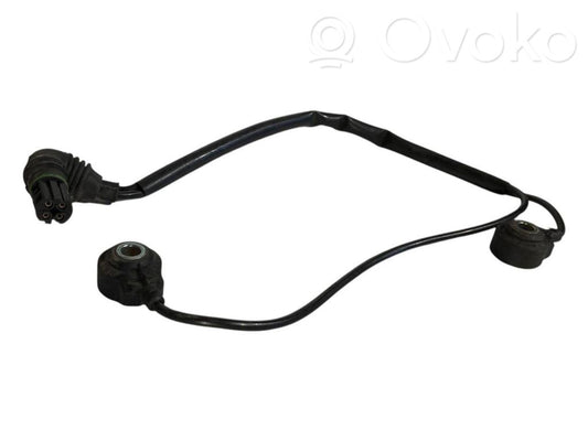 Detonācijas sensors