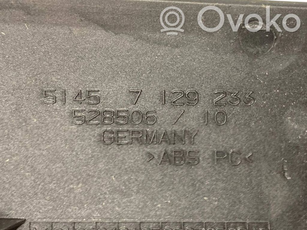 Panel decorative trim shield (central)