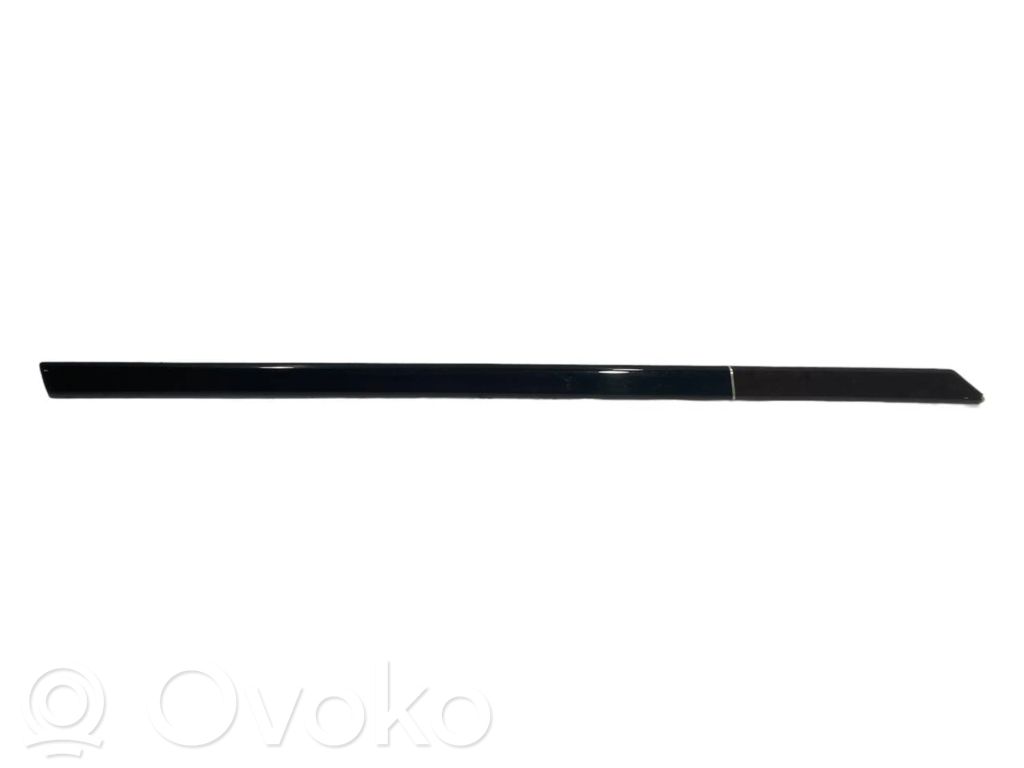 Apšuvums aizmugurējām durvīm