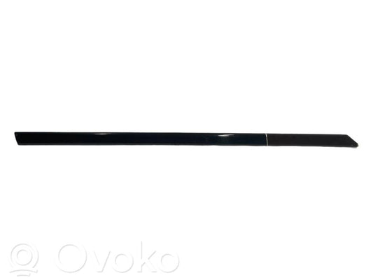 Apšuvums aizmugurējām durvīm