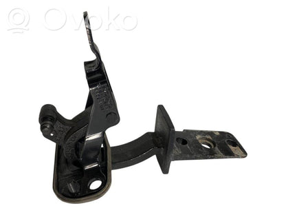 Aizmugurējā pārsega eņģe (-ess)