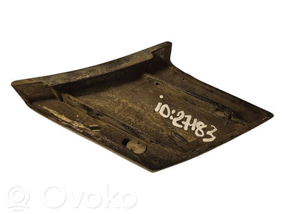 Aizmugurējā spārna uzlika / moldings