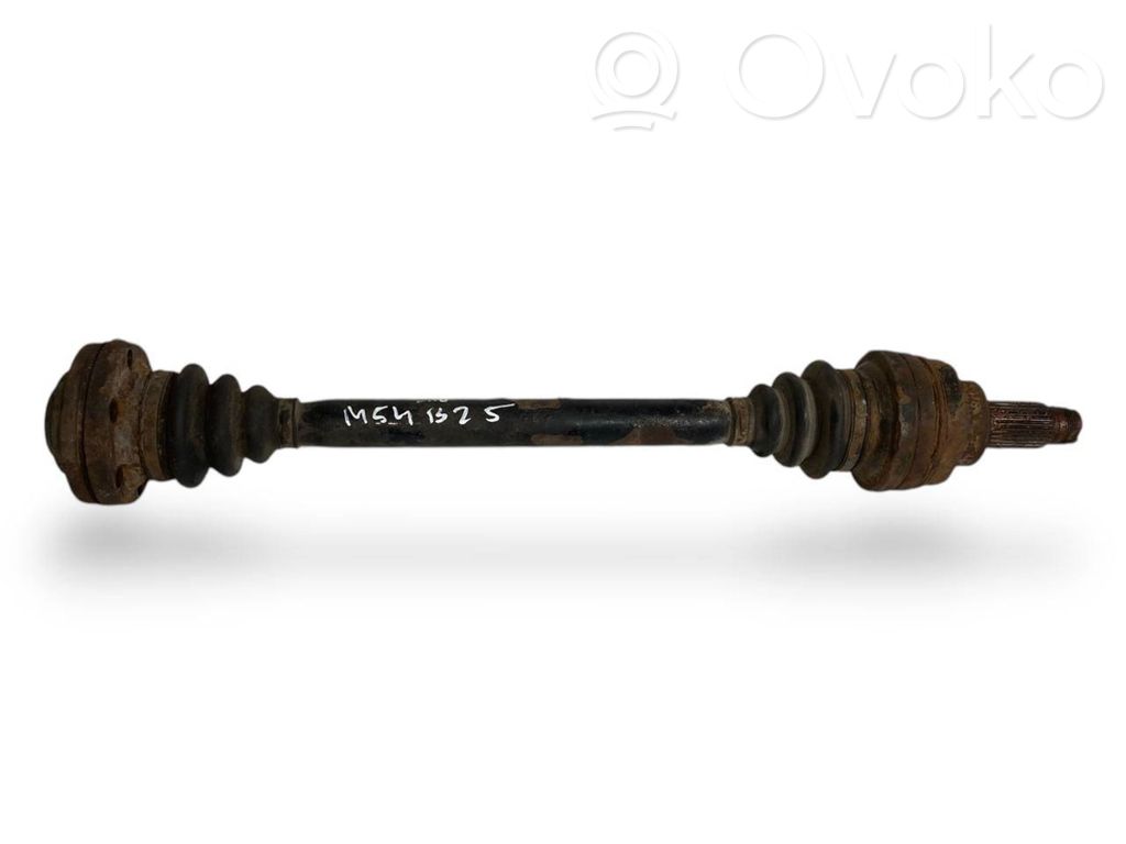 Aizmugurējā pusass