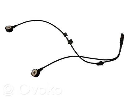 Detonācijas sensors