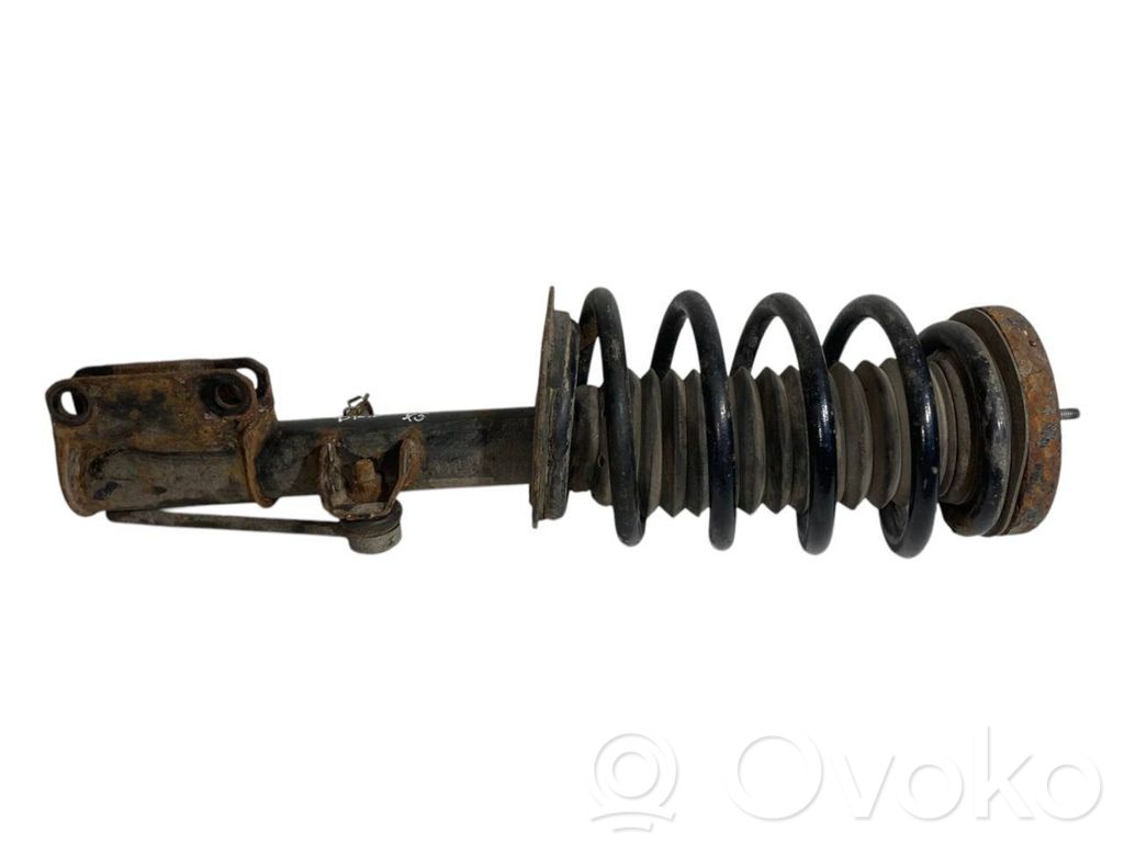 Front shock absorber with spring