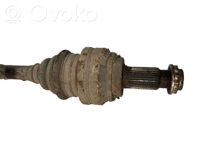 Aizmugurējā pusass