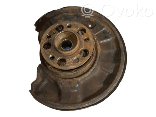 Rear wheel hub shaft joint (stupica, capfa)