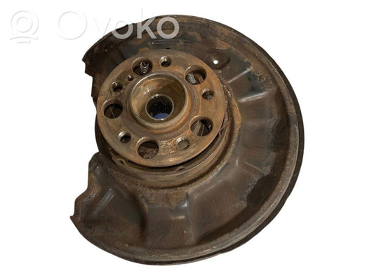 Rear wheel hub shaft joint (stupica, capfa)