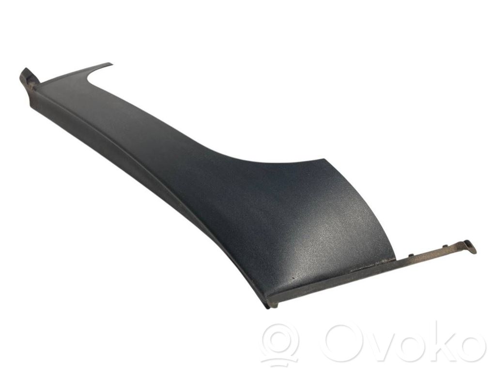 Bagāžnieka dekoratīvā apdare