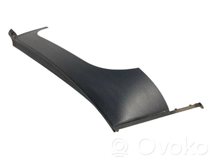 Bagāžnieka dekoratīvā apdare