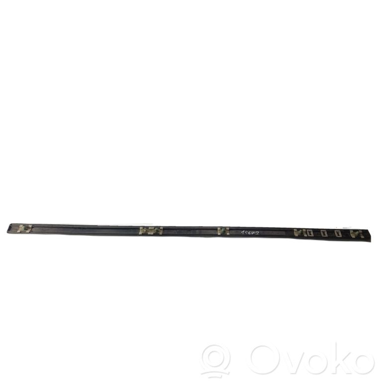 Priekšpusē durvju dekoratīvā apdare (moldings)