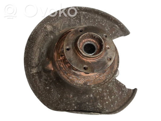 Rear wheel hub shaft joint (stupica, capfa)