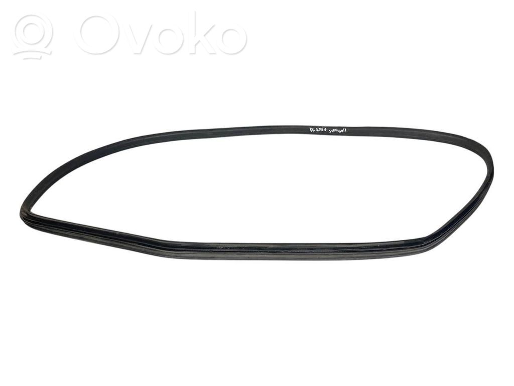 Front trim rubber (in the body)