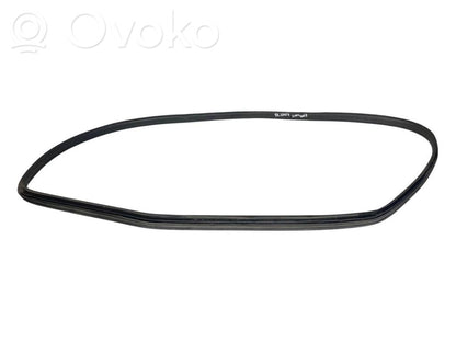 Front trim rubber (in the body)