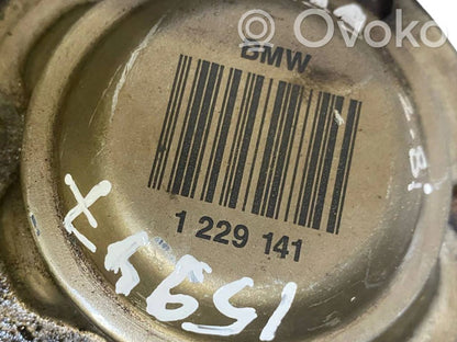 Aizmugurējā pusass