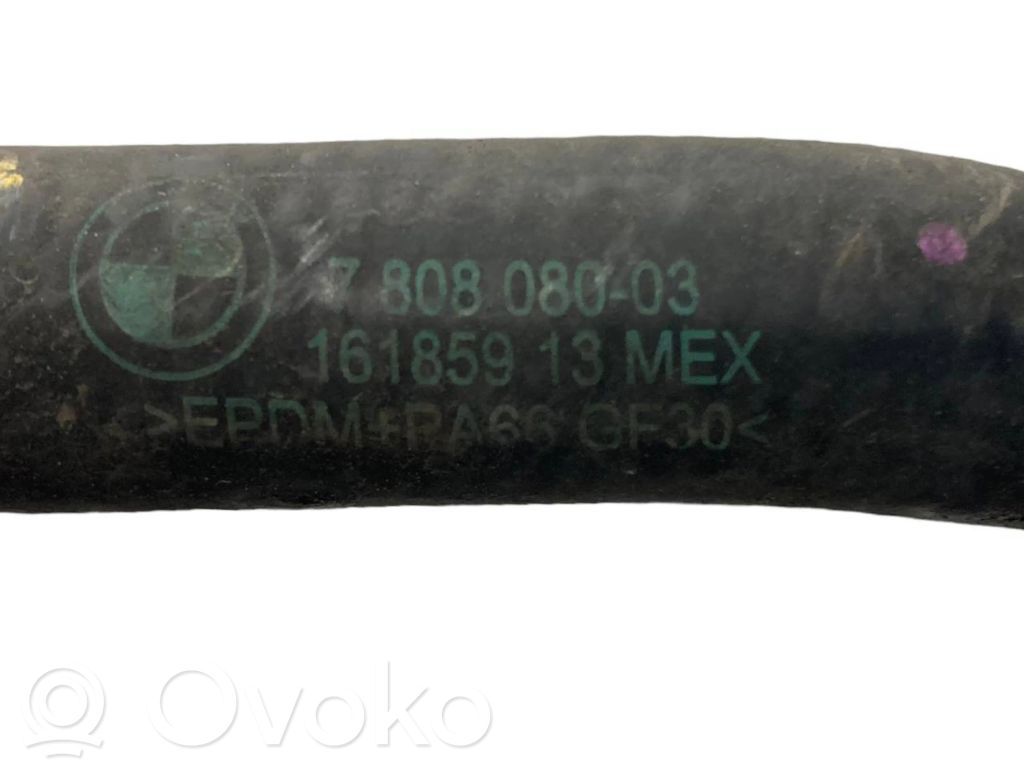 Caurulīte (-es) / šļūtene (-es)