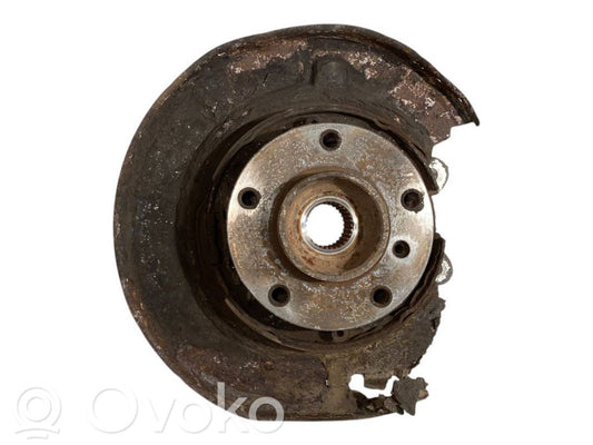 Rear wheel hub shaft joint (stupica, capfa)