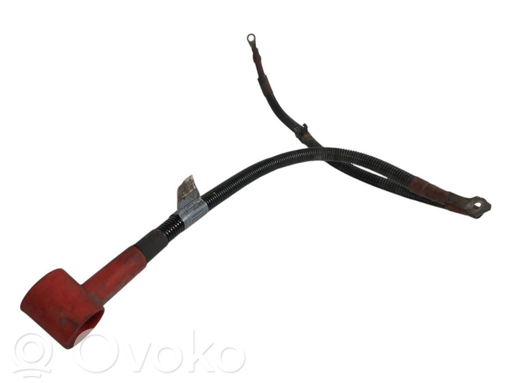 Plusa vads (akumulatora)