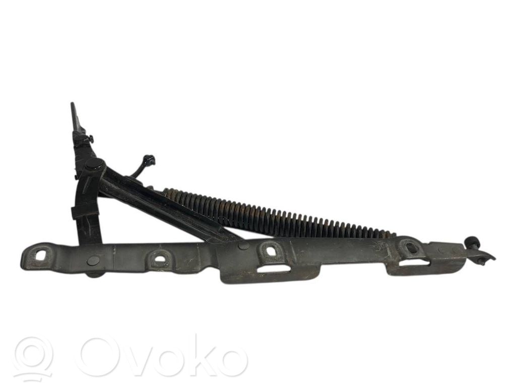 Aizmugurējā pārsega eņģe (-ess)