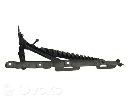 Aizmugurējā pārsega eņģe (-ess)