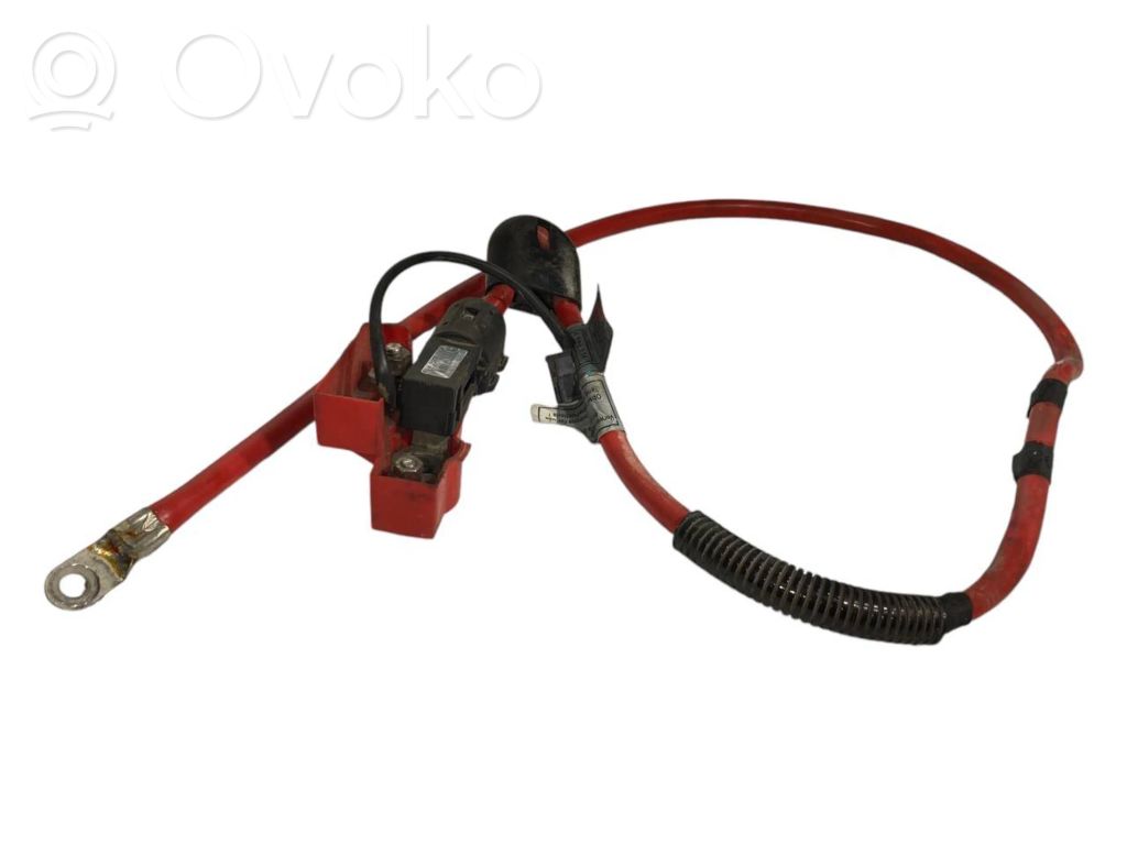 Plusa vads (akumulatora)