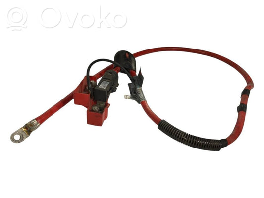 Plusa vads (akumulatora)