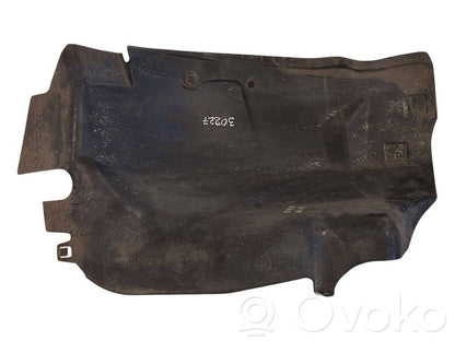 Aizmugurējais apakšspārns