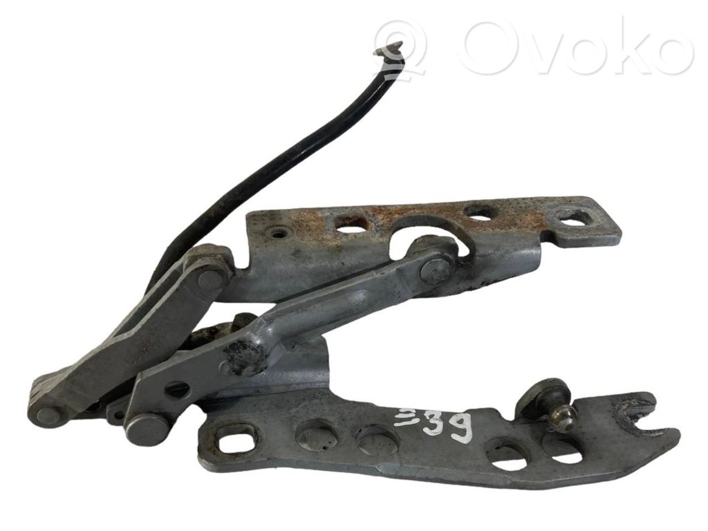 Dzinēja pārsega eņģe (-es)