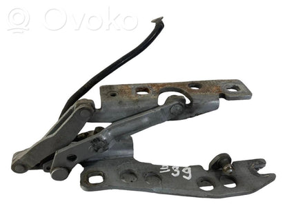 Петли капота двигателя