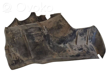 Aizmugurējais apakšspārns