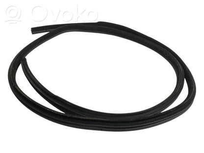 Front trim rubber (in the body)