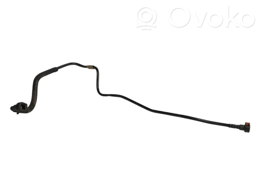 Caurule (-es) / šļūtene (-es)