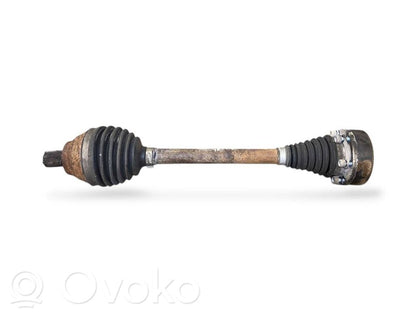 Priekšējā pusass