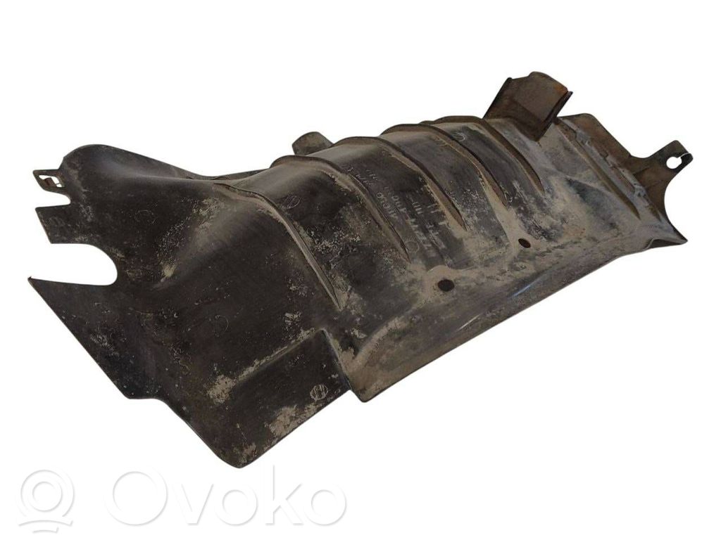 Aizmugurējais apakšspārns