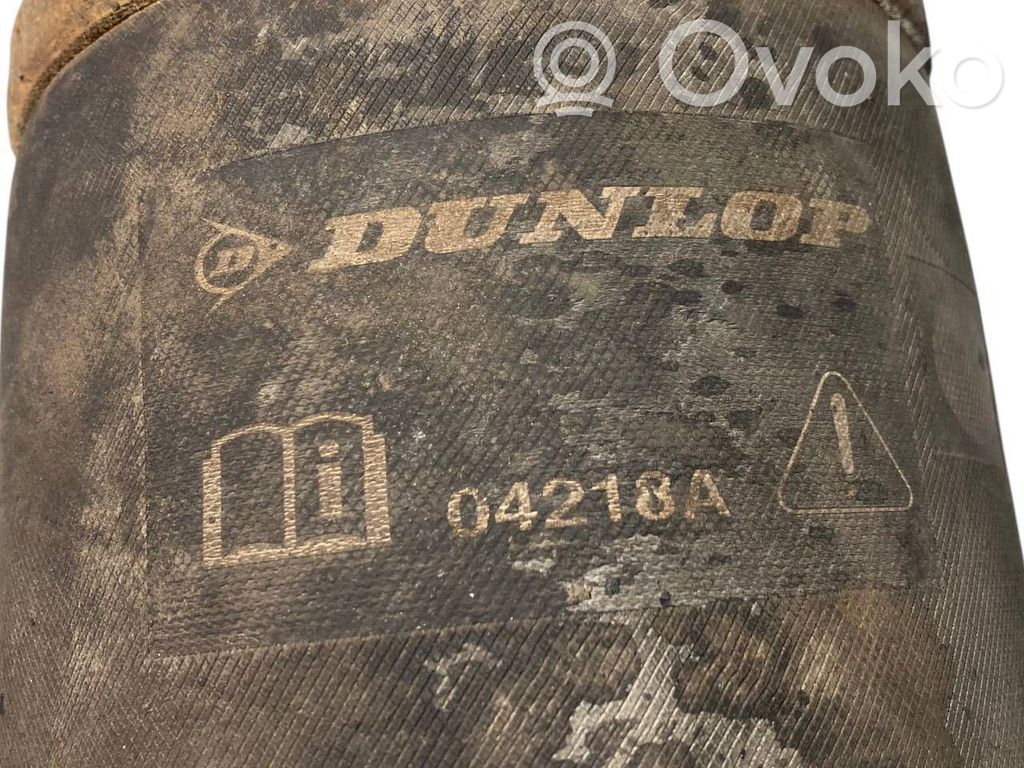 Aizmugurē gaisa spilvens