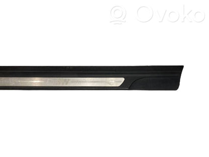 Front sill trim (inner)