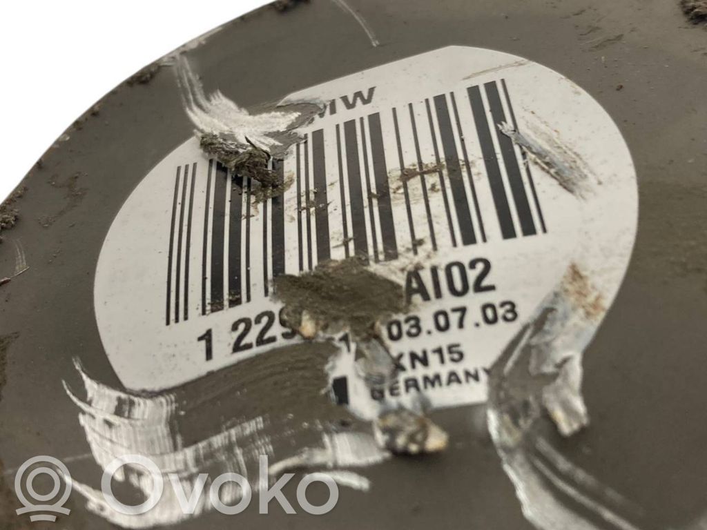 Aizmugurējā pusass