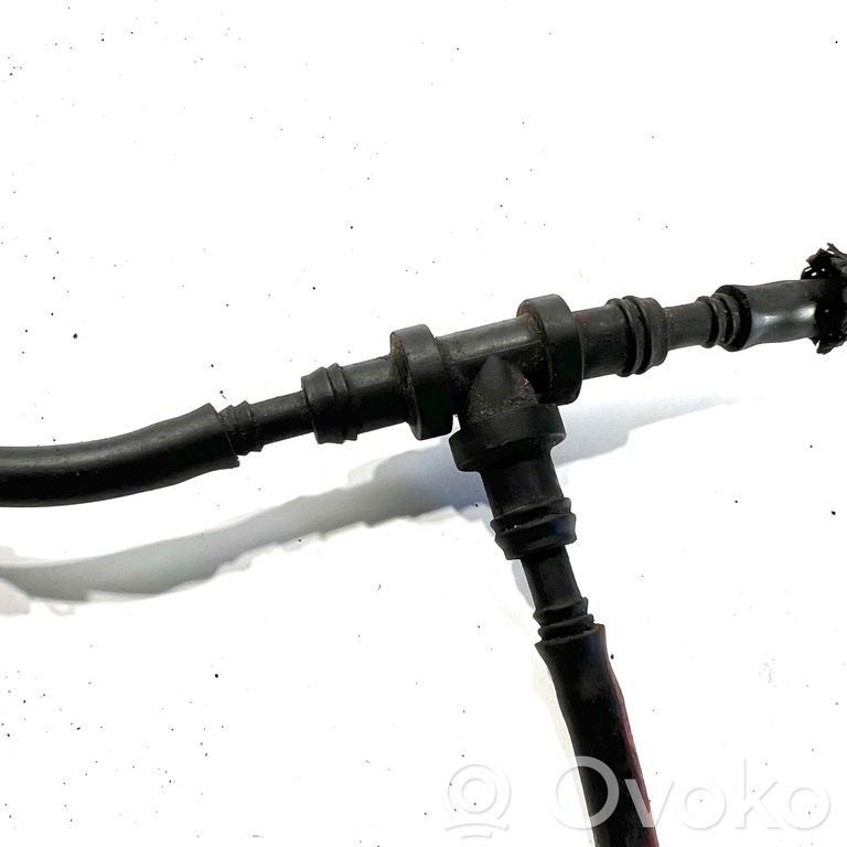 Caurulīte (-es) / šļūtene (-es)