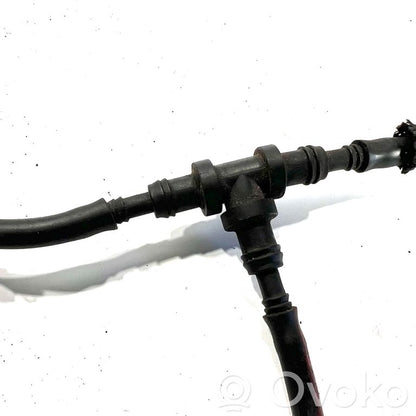 Caurulīte (-es) / šļūtene (-es)