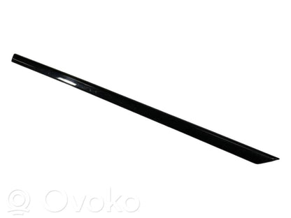 Aizmugurē durvju dekoratīvā apdare (moldings)