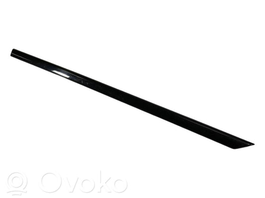 Aizmugurē durvju dekoratīvā apdare (moldings)
