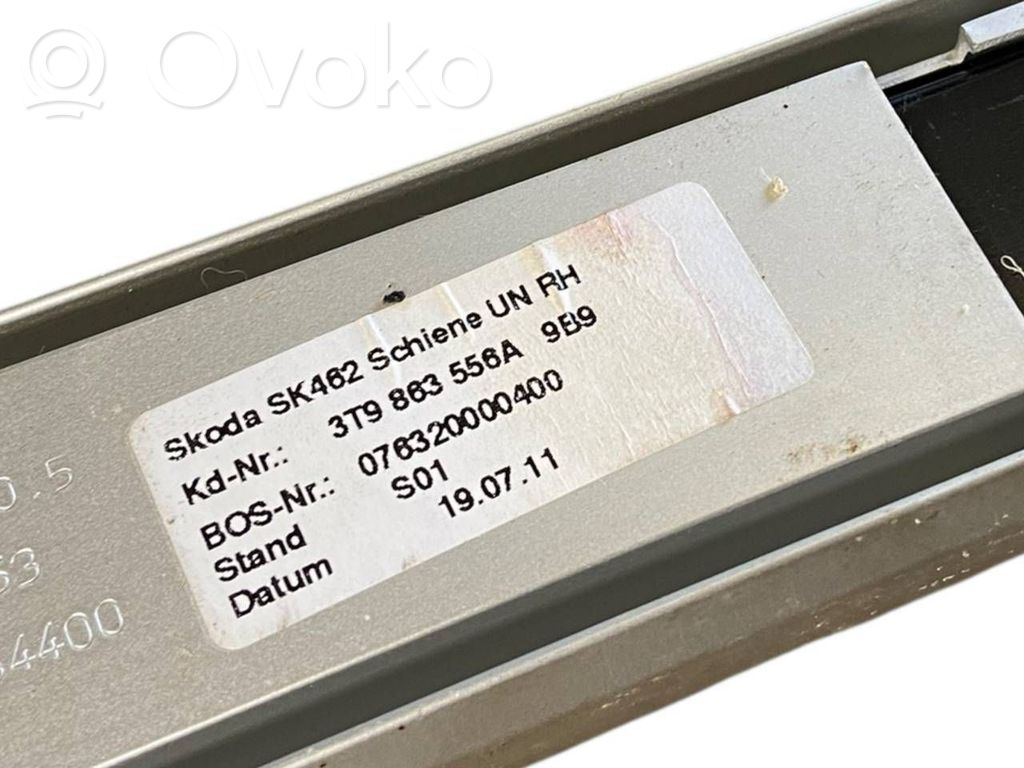 Cita veida bagāžnieka dekoratīvās apdares detaļa