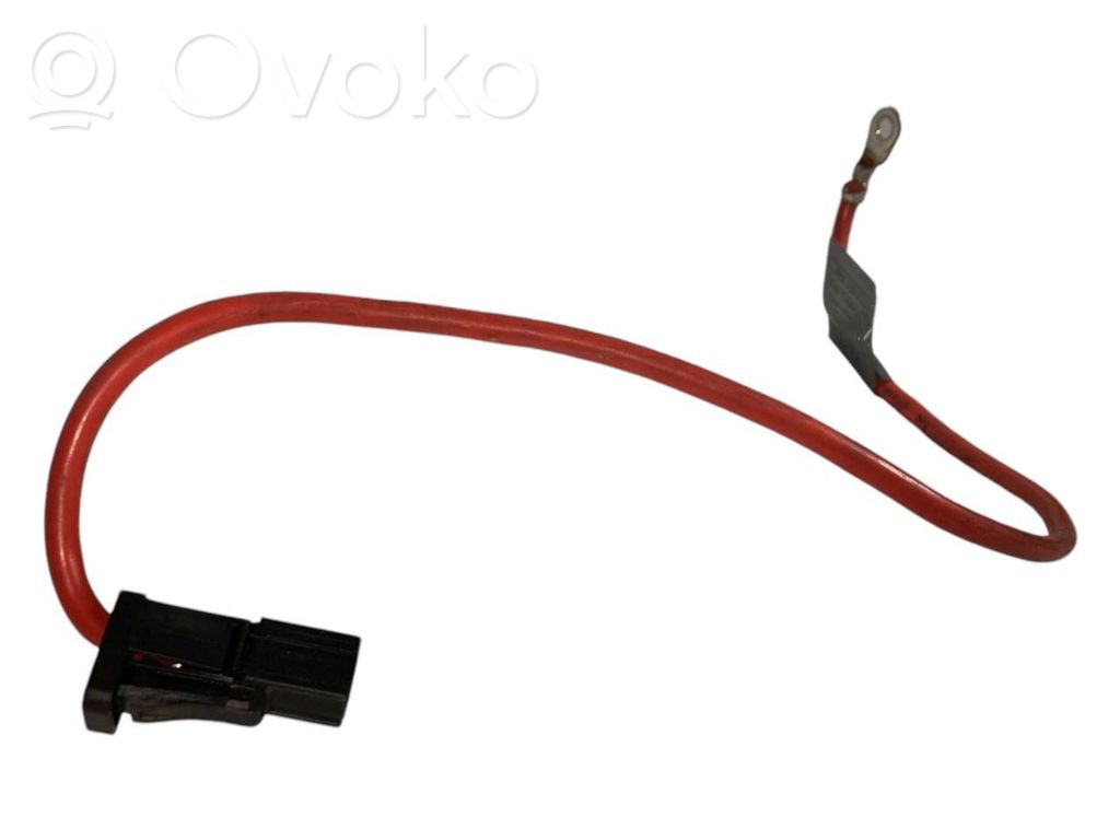 Plusa vads (akumulatora)