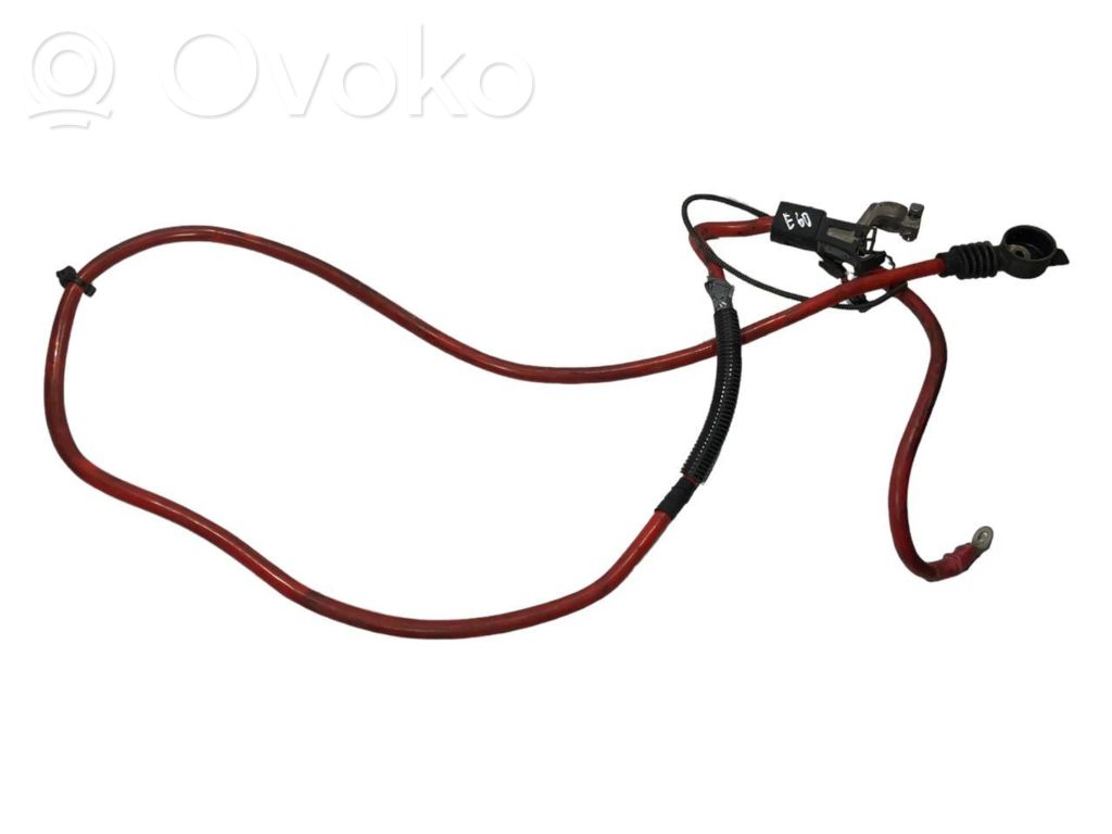 Plusa vads (akumulatora)