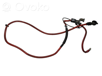 Plusa vads (akumulatora)