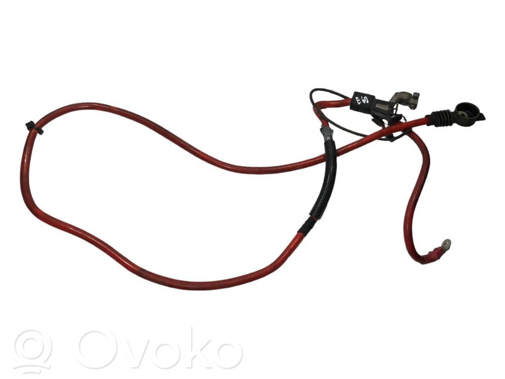 Plusa vads (akumulatora)