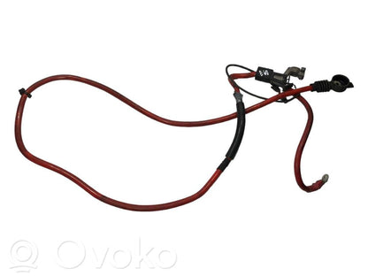 Plusa vads (akumulatora)